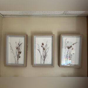 Set of Three Framed Botanical Prints